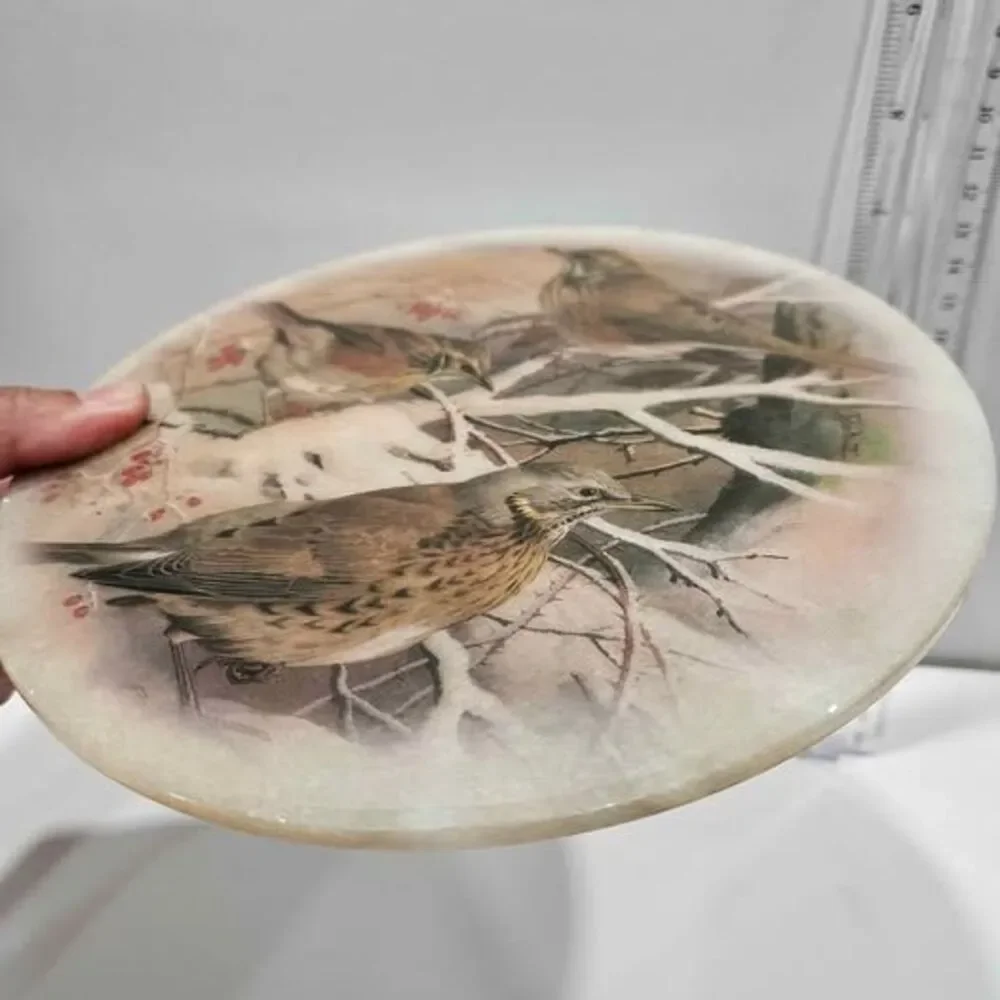 Redwing and Fieldfare Bird Decorative Plate 7 inch